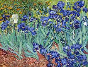 Vincent Van Gogh - Irises [1889] - (buy paintings reproductions)