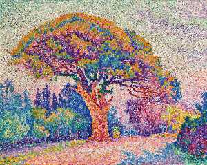 Paul Signac - The Pine Tree at St. Tropez - (buy paintings reproductions)
