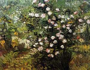 Vincent Van Gogh - Rosebush i Blossom - (buy famous paintings)