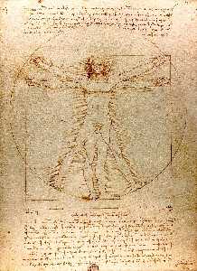 Leonardo Da Vinci - Vitruvian Man - (Buy fine Art Reproductions)